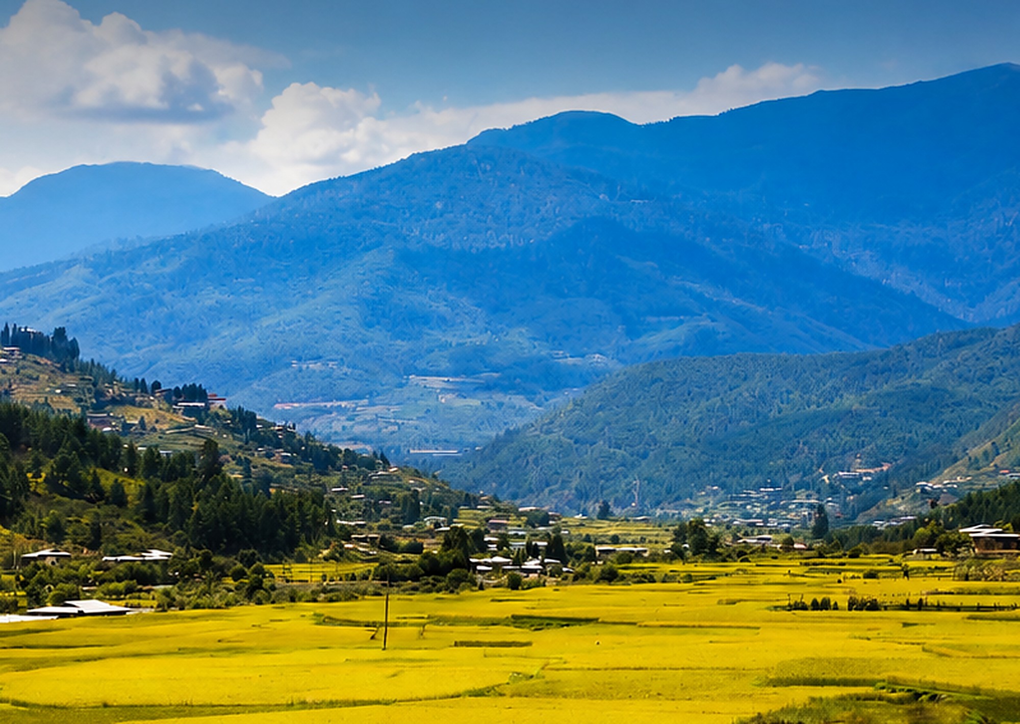 Punakha Honeymoons